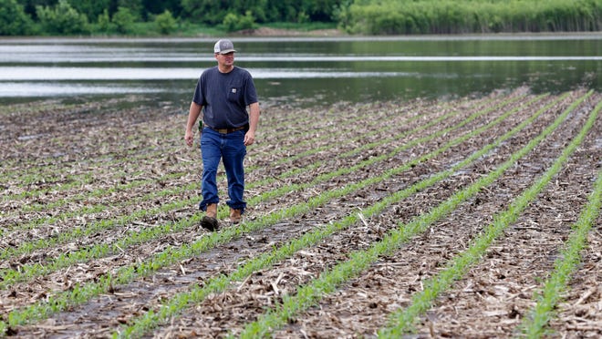 In this May 29, 2019 photo, Jeff Jorgenson looks over a partially flooded field he farms near Shenandoah, Iowa. About a quarter of his land was lost that year to Missouri River flooding from the neighboring Nishnabotna River. (AP File Photo/Nati Harnik)