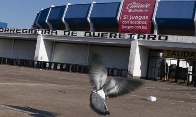 Querétaro fans accept sanctions but wonder if cartels played a role in soccer brawl