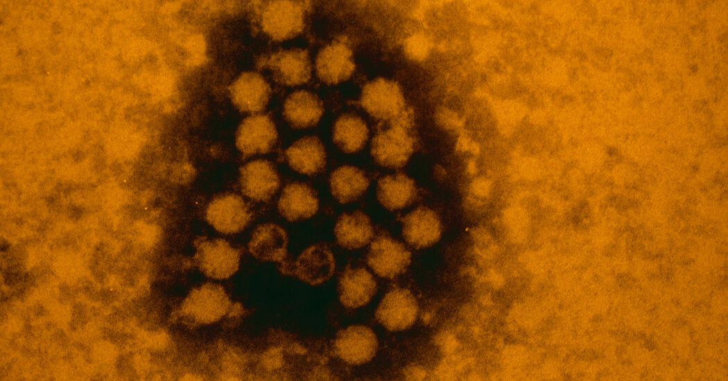 Why a Coronavirus-Flu ‘Twindemic’ May Never Happen