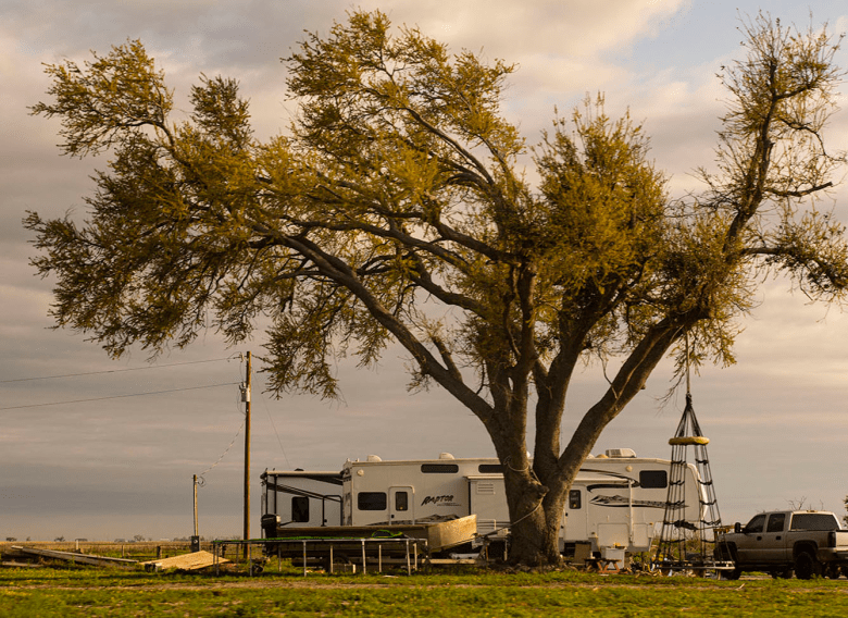 A big tree with wide branches shades a white camper. There is a silver pickup truck nearby and a trampoline in the yard.