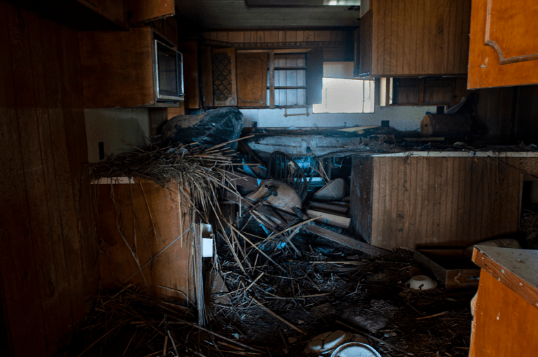 A kitchen full of debris including vegetation, broken chairs, bowls and drawers pulled out of cabinets. 