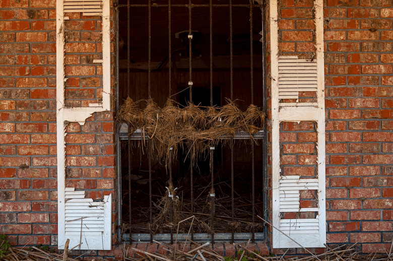 A window damaged in Hurricane Laura. White shutters are broken against a red brick wall. Dead vegetation is stuck in the window grate.