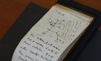 Stolen Darwin Notebooks, Missing for Decades, Are Returned