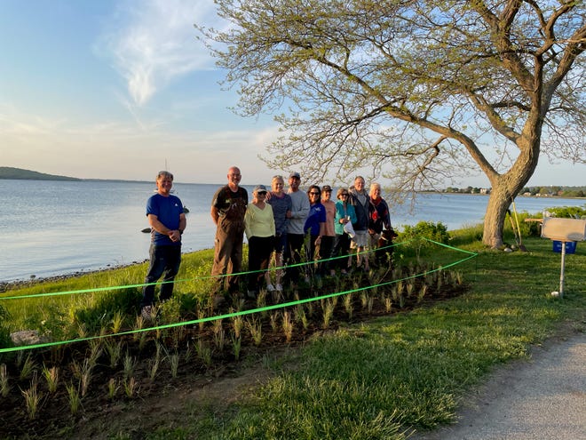 Volunteers with the Common Fence Point Improvement Association stand near the sea grass they planted near the shore in Portsmouth last April to help reduce coastal erosion.