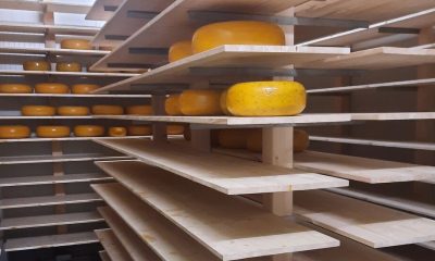 Major Cheese Heist Puts Dutch Dairy Farmers on Alert