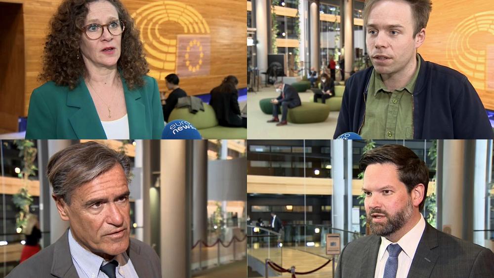 Watch: Do MEPs think the EU should ban imports of Russian gas and oil?