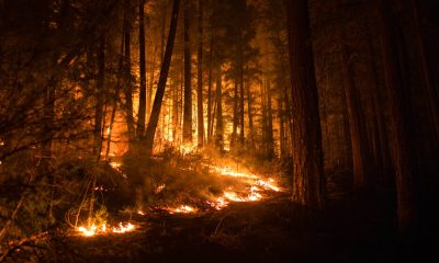 PG&E agrees to pay  million in penalties and costs over two wildfires.