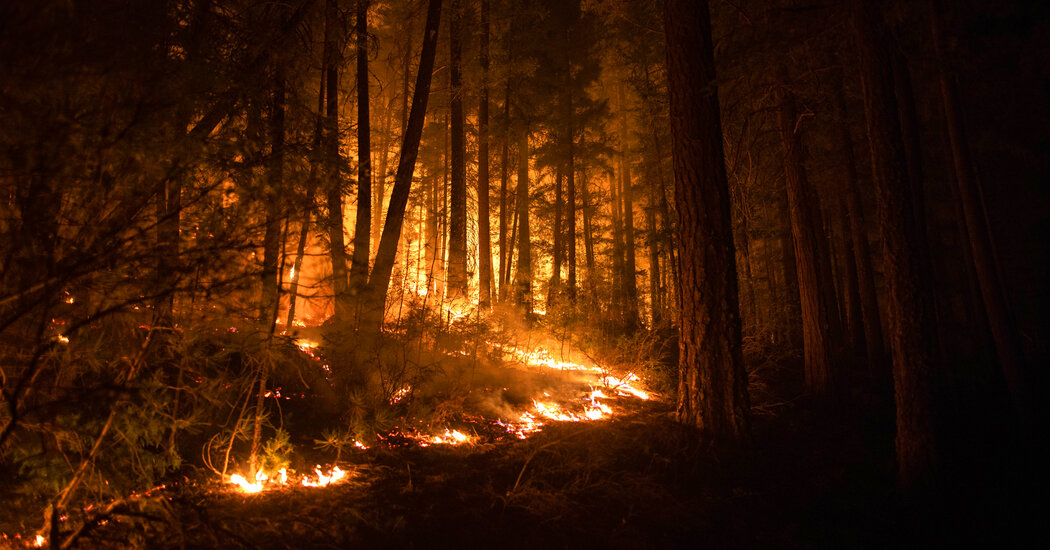 PG&E agrees to pay  million in penalties and costs over two wildfires.