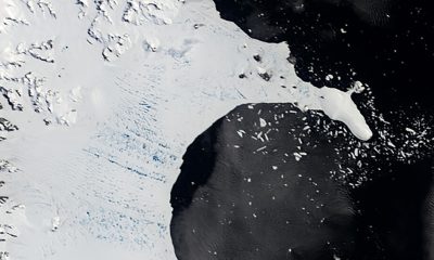 Scientists Solve an Antarctic Puzzle