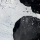 Scientists Solve an Antarctic Puzzle