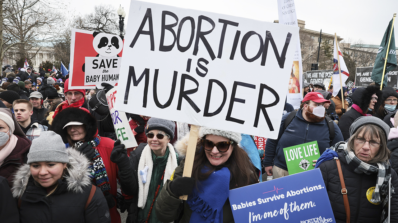 More voters favor 15-week abortion ban than oppose it, poll finds