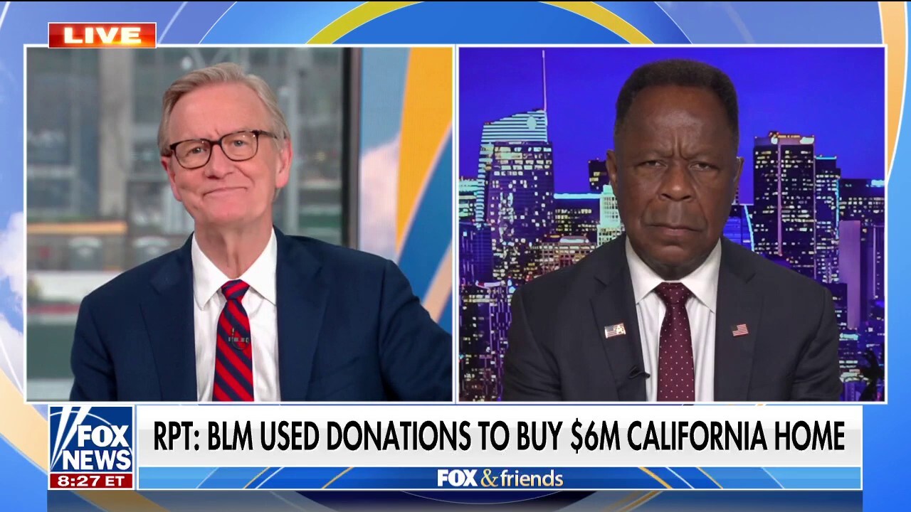 Leo Terrell torches BLM leaders over reports of M mansion purchase: ‘Black Americans were exploited’