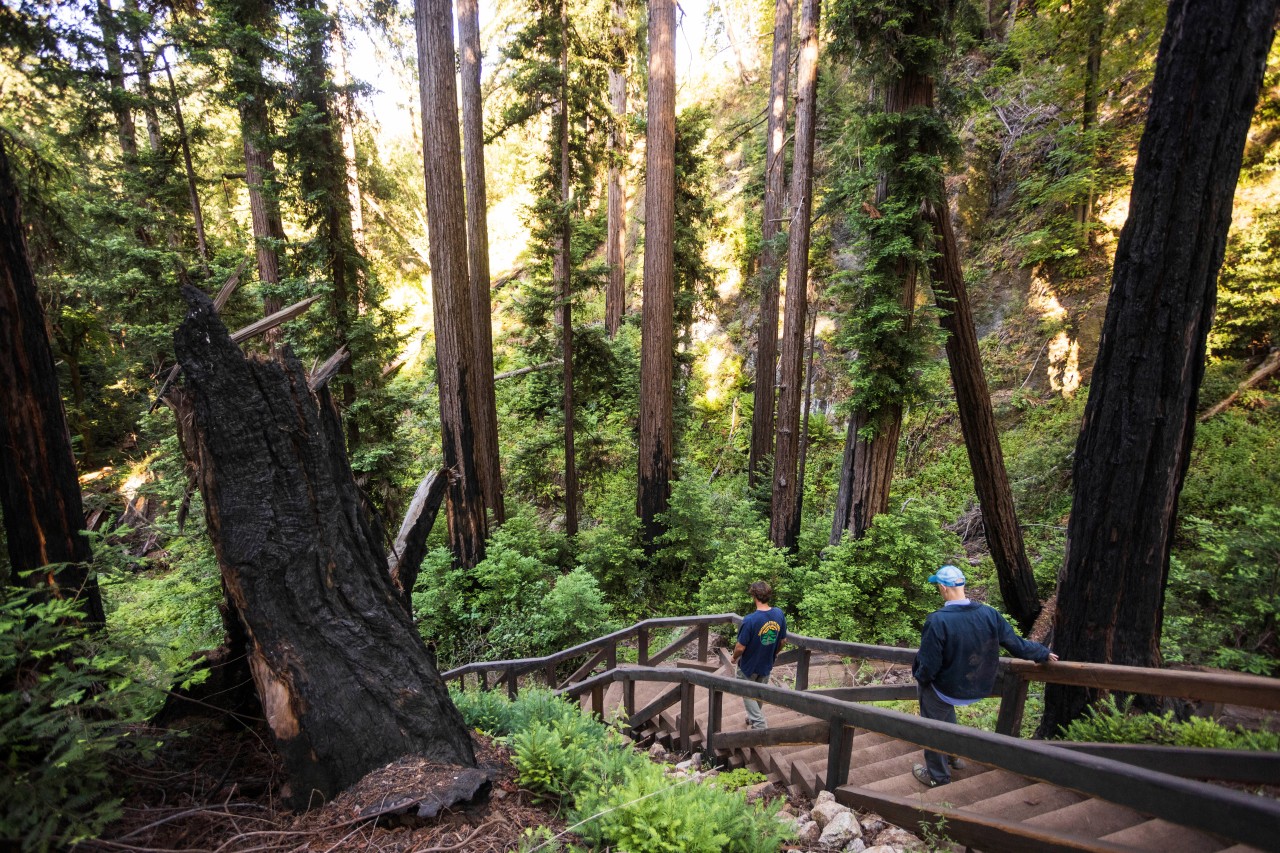 Californians can use library card to visit state parks for free