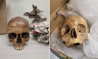 Border officers find 6 human skulls in packages shipped to the U.S.