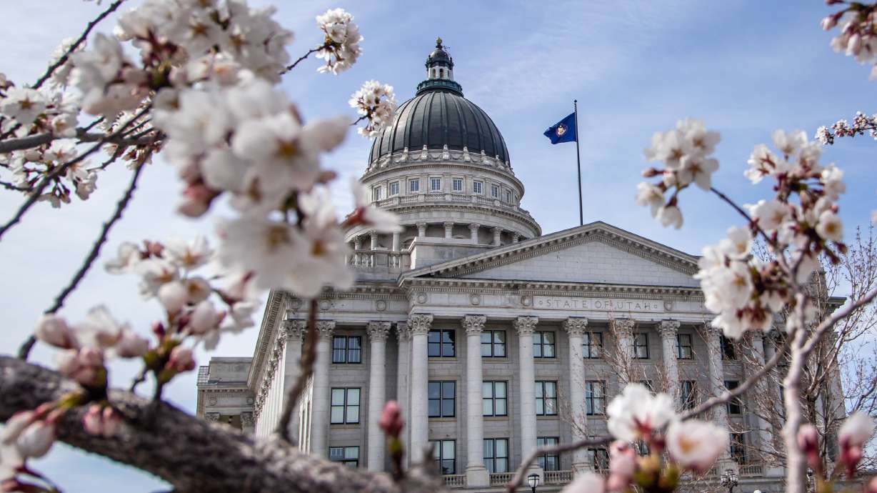 Utah senator ‘excited’ as state prepares to sift through thousands of new flag designs
