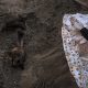 Ukraine: More than 900 civilian bodies found in Kyiv region, police say