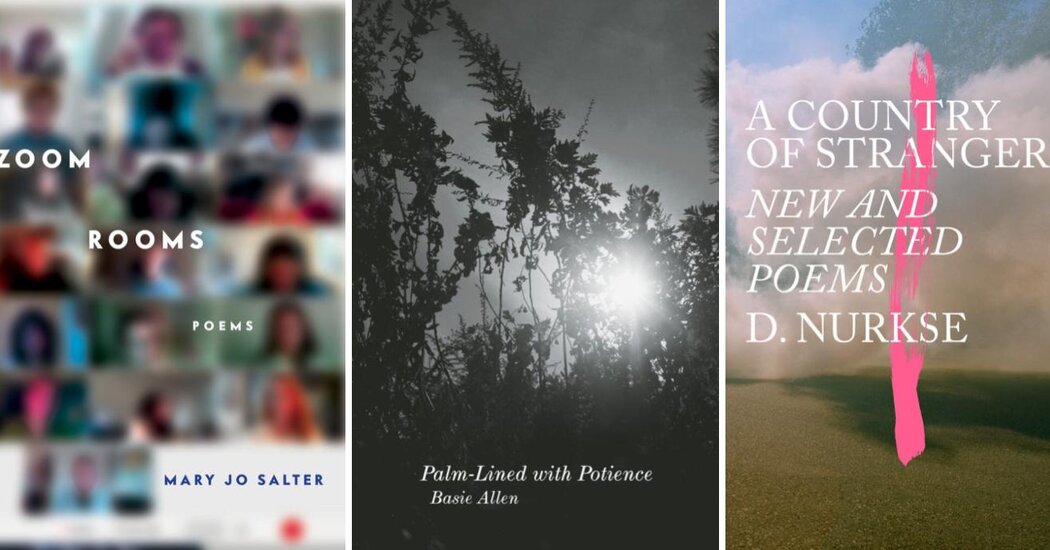 Newly Published Poetry, From Gaza to Zoom Rooms and More