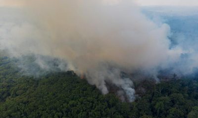 Brazil’s Amazon rainforest has already reached a new deforestation record this year