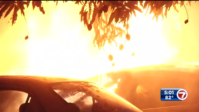 Car fire in Miami neighborhood damages 3 vehicles, triggers investigation