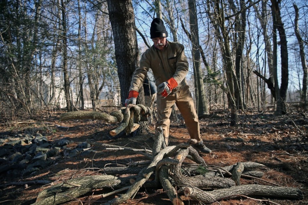 Plan to save your planet at these local Earth Day events around Maine