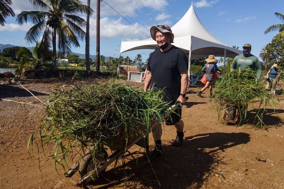 Chef Alan Wong wheeling the invasive species out of Mālama Loko Ea