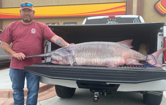 State record paddlefish weighing 120 pounds caught in East Tennessee