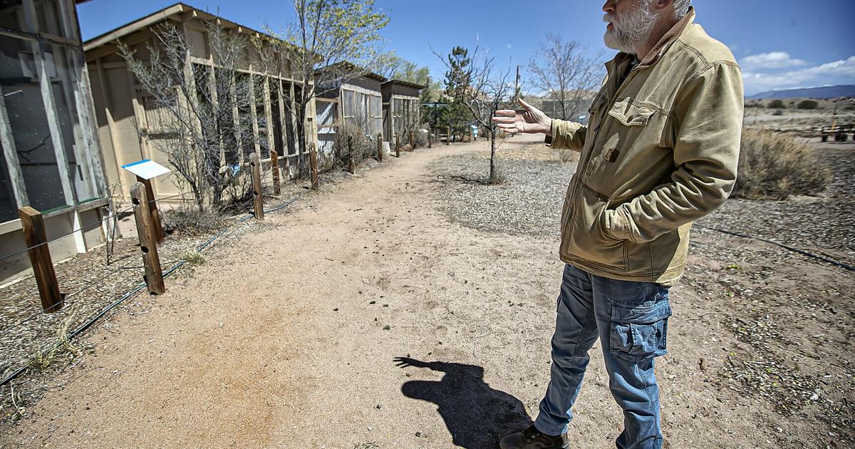 Grant allows New Mexico Wildlife Center near Española to hire full-time vet