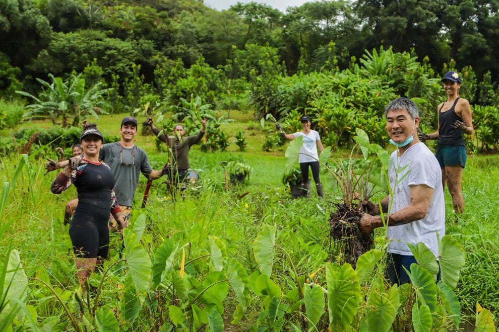 How this innovative food festival in Hawaii is giving back to the environment