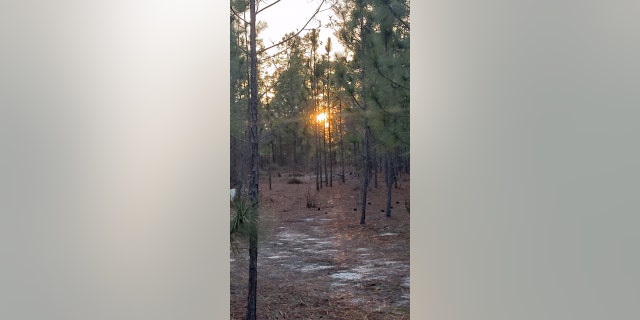 Bob Barnes of N.Y. said he also enjoyed South Carolina's forests.