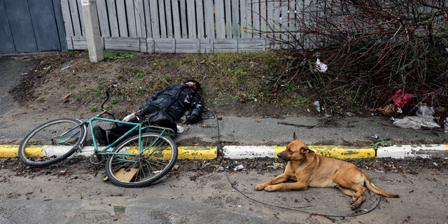 GRAPHIC IMAGE WARNING: A dog lays next to the body of a civilian in Bucha, Ukraine, on Sunday. 