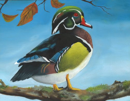 Shreveport student wins Louisiana Junior Duck Stamp Contest Best of Show – L’Observateur