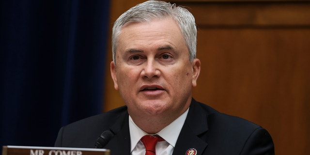 House Oversight and Reform Committee Ranking Member James Comer (R-KY) said migrants taking selfies at the border reveals "a lack of fear." 