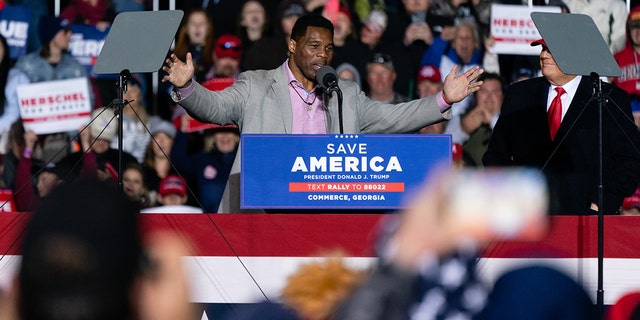 Herschel Walker, Republican senate candidate for Georgia, speaks after being brought on stage by former U.S. President Donald Trump at a "Save America" rally.