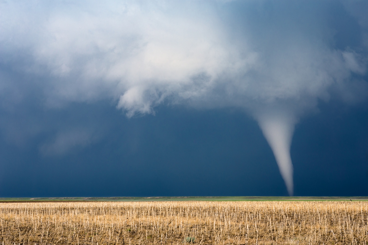 Kentucky storms spawned 8 tornadoes, damaging homes, barns