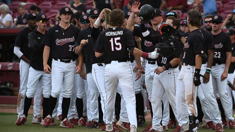 Gamecock Baseball Notebook – University of South Carolina Athletics