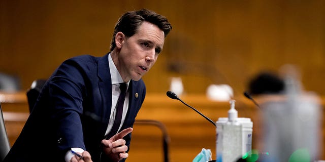 Sen. Josh Hawley speaks during a Senate Judiciary Committee Hearing on COVID-19 fraud, on Capitol Hill on June 9, 2020.