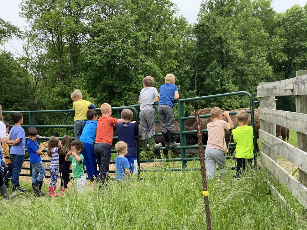 West Virginia farmer releases bison cookbook