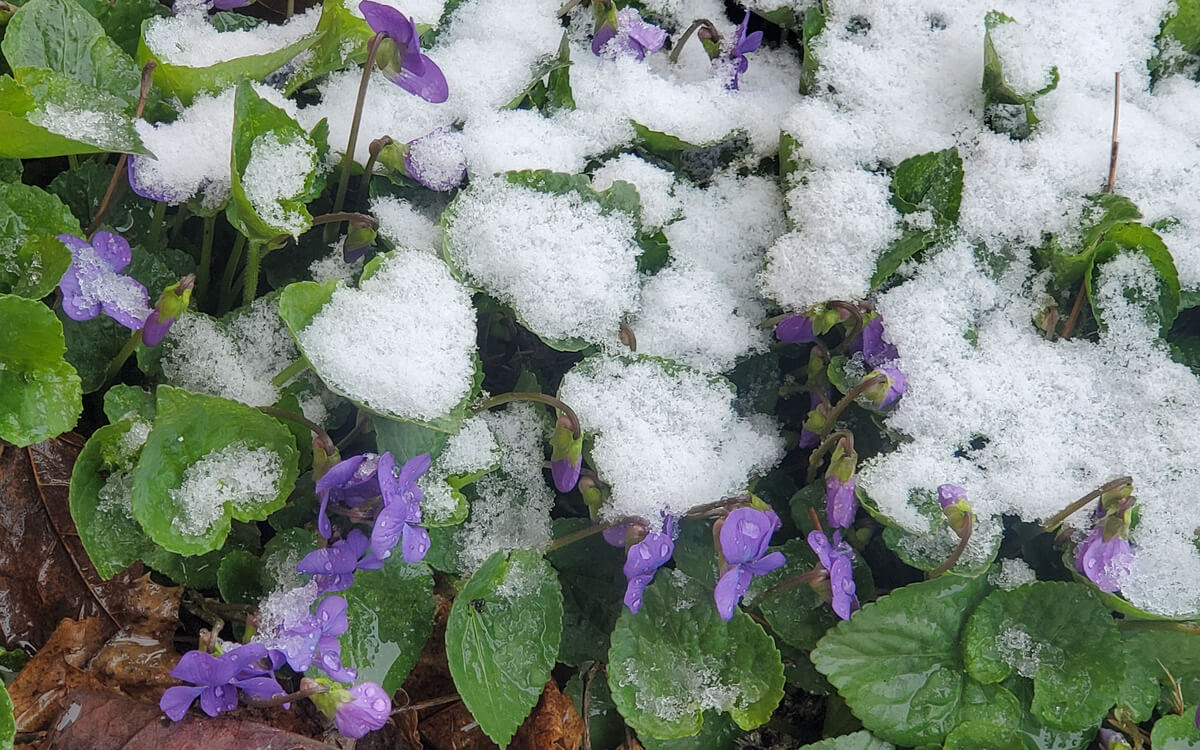 Yes, Maine will be getting snow on Tuesday