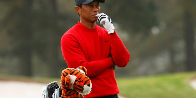 Tiger Woods 