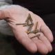 Lethal darts were fired into a Ukrainian neighborhood by the thousands