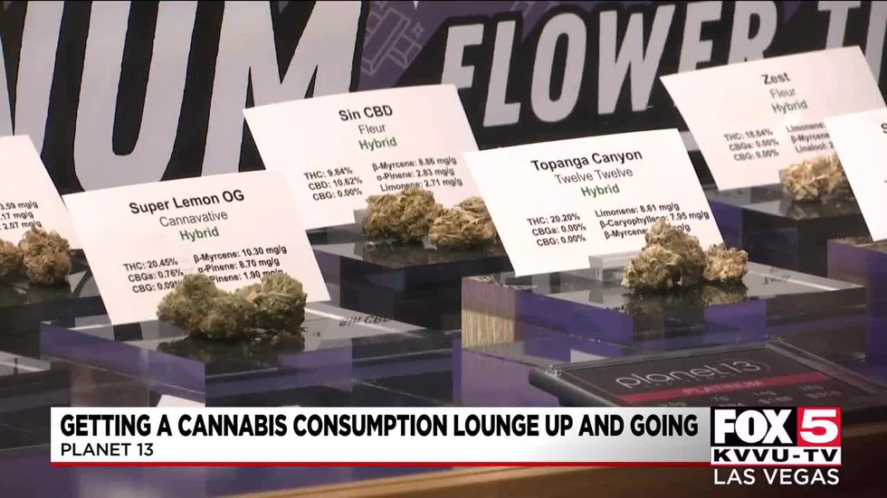 Cannabis lounges coming soon to Nevada