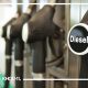 Why the high price of diesel could drive up the price of almost everything we buy