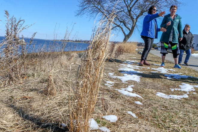 Pam Rubinoff, left, Conley Zani and others tour the area at Common Fence Point where native grasses were planted to stabilize the shoreline and reduce erosion. The grasses also help filter stormwater runoff into Narragansett Bay.
