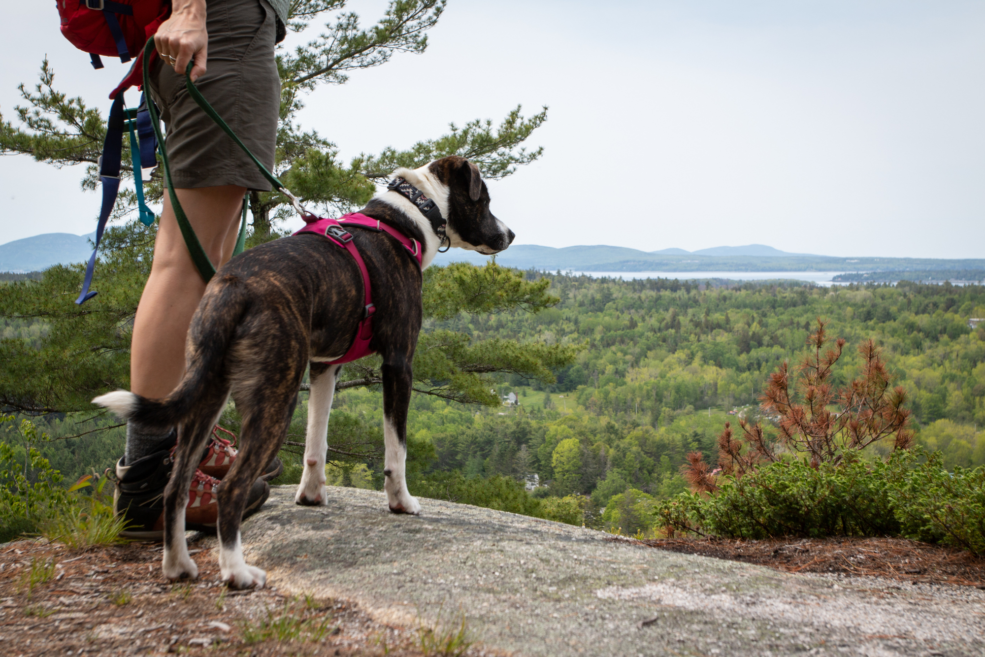 11 easy mountain hikes in Maine, great for spring