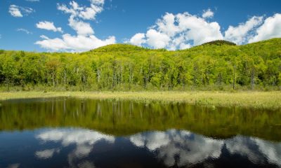 Some of the Beebe River watershed is being conserved. Here’s why that matters for climate mitigation.