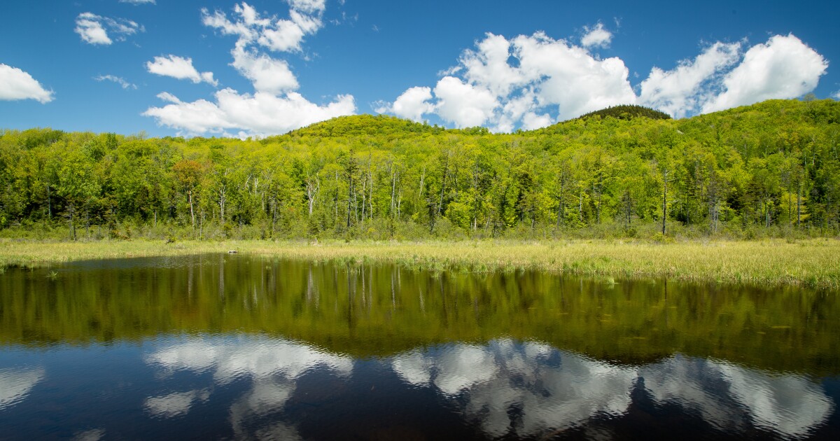 Some of the Beebe River watershed is being conserved. Here’s why that matters for climate mitigation.