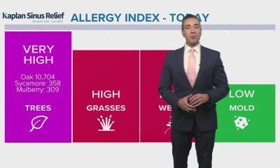 Houston weather: Sunny, breezy Friday with high pollen