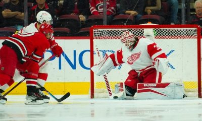 Detroit Red Wings, Alex Nedeljkovic blank Carolina Hurricanes, 3-0