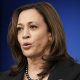 Kamala Harris staff exodus: Deputy chief of staff Michael Fuchs quits