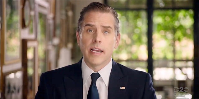 In this screenshot from the DNCC’s livestream of the 2020 Democratic National Convention, Hunter Biden, son of Democratic presidential nominee Joe Biden, addresses the virtual convention on August 20, 2020.  The convention, which was once expected to draw 50,000 people to Milwaukee, Wisconsin, is now taking place virtually due to the coronavirus pandemic.  